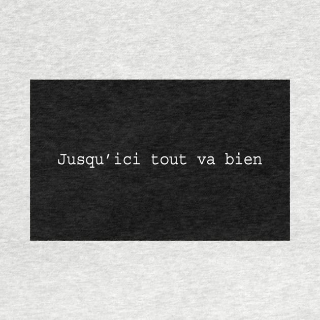 La Haine: Jusqu'ici tout va bien, from film by Window House